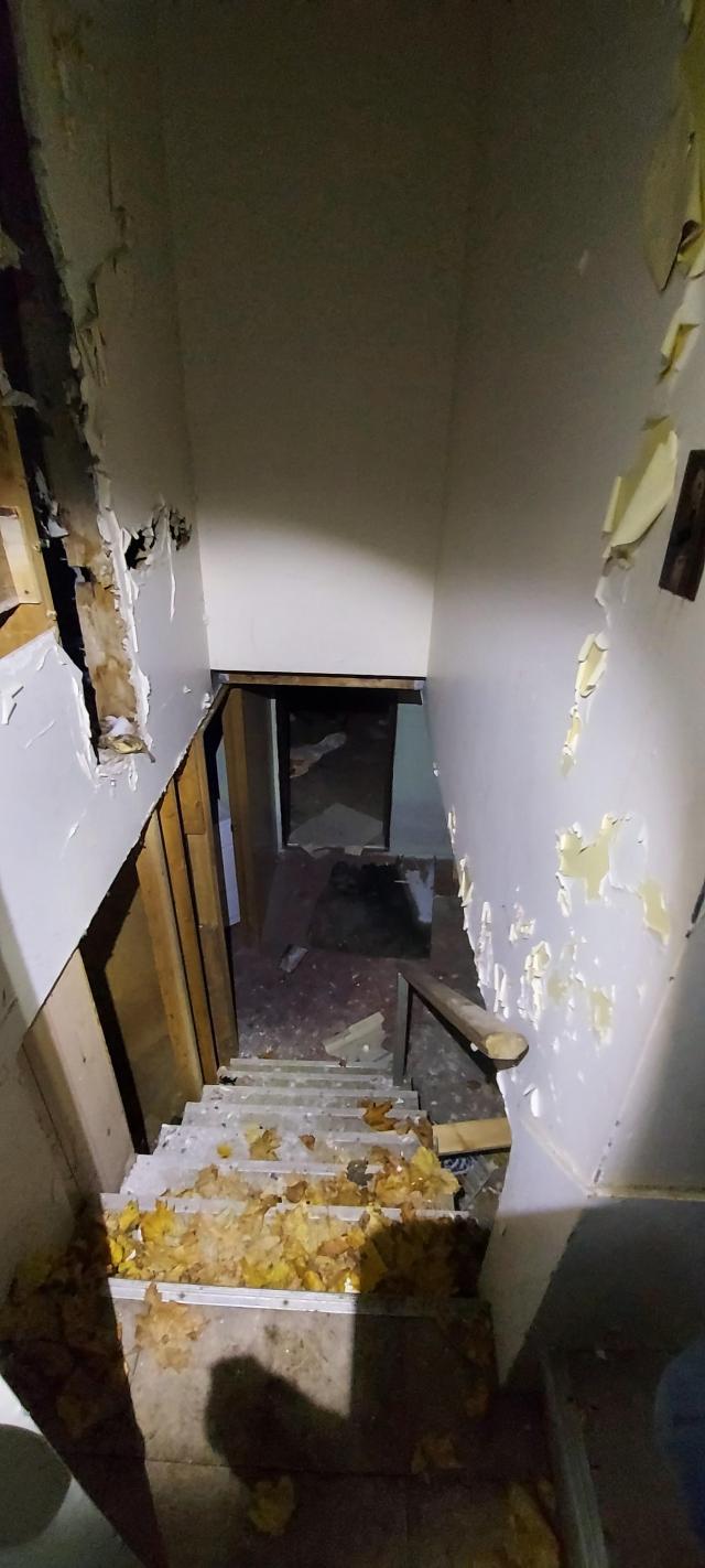 T-doggs Crap bin photo 5