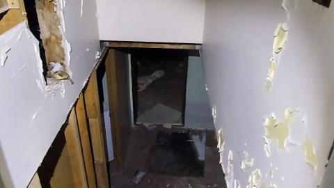 T-doggs Crap bin photo 5