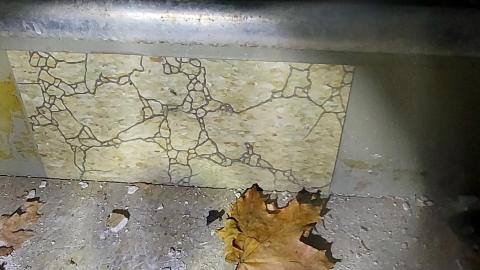 Smells like crap - 20201229_192119.jpg