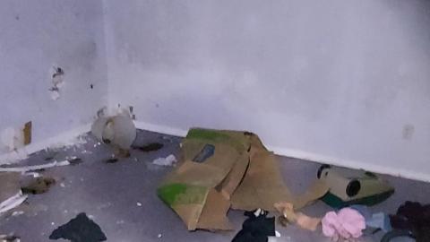 Moldy soot - 20201230_184108.jpg