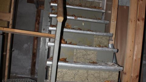 A Christmas With T-Dogg...? - IMG_3673.JPG