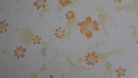 A Christmas With T-Dogg...? - IMG_3672.JPG