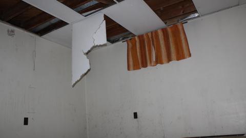 A Christmas With T-Dogg...? - IMG_3659.JPG