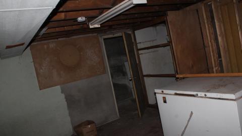 A Christmas With T-Dogg...? - IMG_3656.JPG