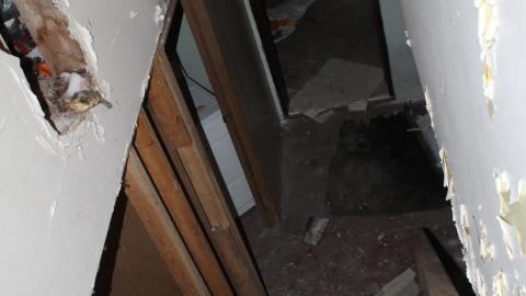 A Christmas With T-Dogg...? - IMG_3652.JPG