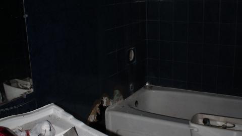 A Christmas With T-Dogg...? - IMG_3627.JPG