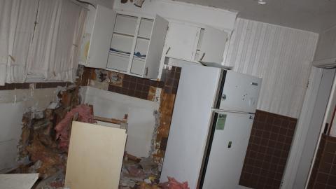 A Christmas With T-Dogg...? - IMG_3616.JPG