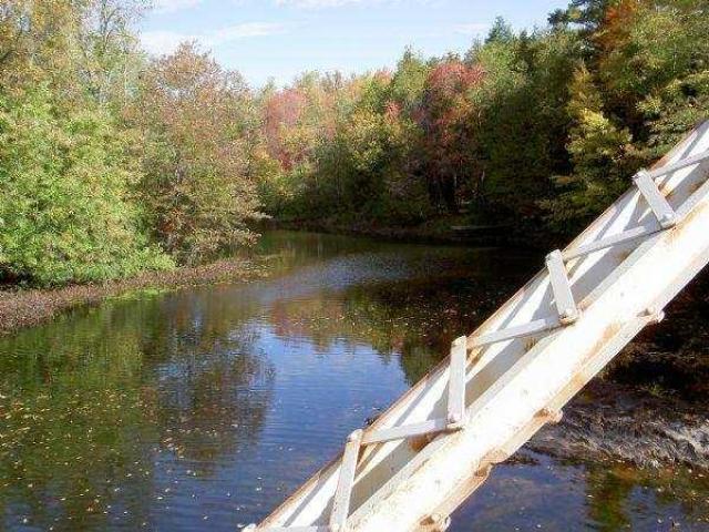 Shanick (ghost town murder) photo 5