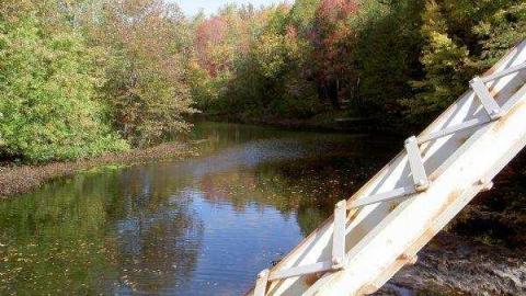 Panic Manic in Shanick - Shanick-(ghost-town-murder)29.jpg