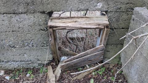 Howell's Hollow Nov 2020 - PXL_20201121_211129710.jpg