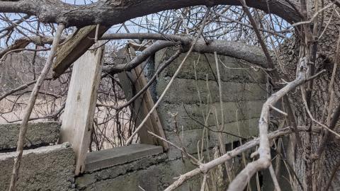 Howell's Hollow Nov 2020 - PXL_20201121_211132729.jpg