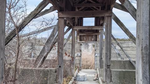 Howell's Hollow Nov 2020 - PXL_20201121_211153815.MP.jpg