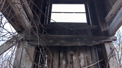 Photo from Howell's Hollow Nov 2020