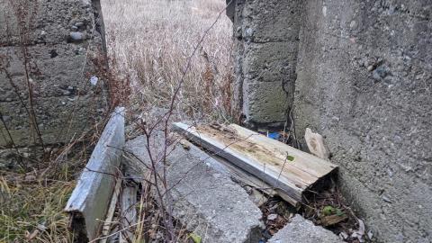 Photo from Howell's Hollow Nov 2020