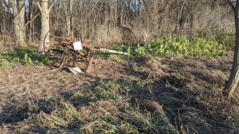 Howell's Hollow Nov 2020 - PXL_20201128_202405715.jpg