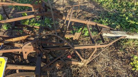 Howell's Hollow Nov 2020 - PXL_20201128_202503463.jpg