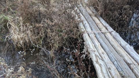 Howell's Hollow Nov 2020 - PXL_20201121_203439525.jpg