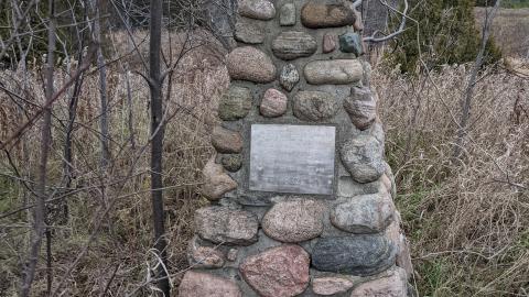 Photo from Howell's Hollow Nov 2020