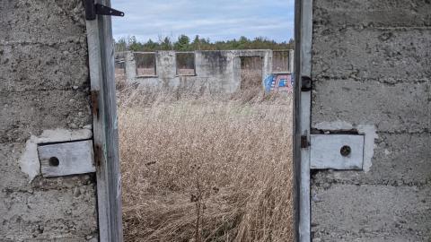 Howell's Hollow Nov 2020 - PXL_20201121_210050408.jpg