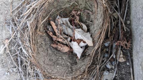 Howell's Hollow Nov 2020 - PXL_20201121_210138744.jpg