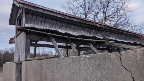 Photo from Howell's Hollow Nov 2020