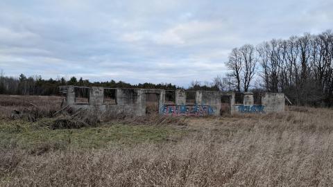 Howell's Hollow Nov 2020 - PXL_20201121_211101049.jpg