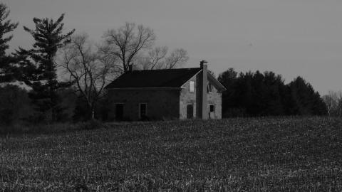 October 2020 - from field.jpg