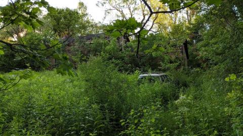 Photo from Abandoned House in the Woods near Mosport