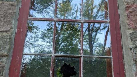 Photo from Abandoned House in the Woods near Mosport