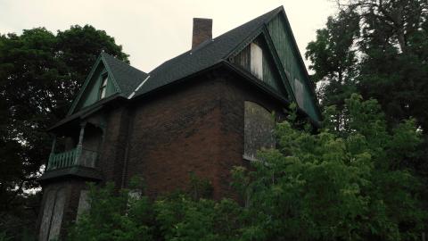 Photo from July 28th 2020