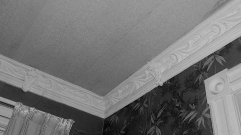 July 28th 2020 - moulding.jpg