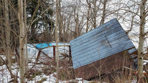 January 2021 - 20210104_202219.jpg