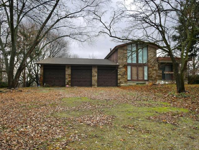 White Deer Retro photo 2