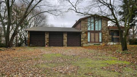 White Deer Retro cover photo