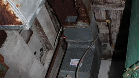 Th-th-thats All Folks! - IMG_4992.JPG