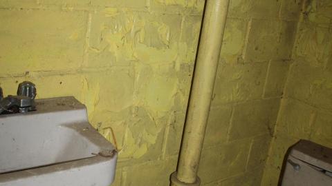 Th-th-thats All Folks! - IMG_4999.JPG