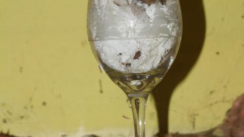 Th-th-thats All Folks! - IMG_5002.JPG