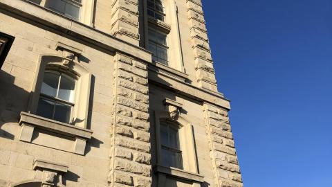 Pigeons Paradise - CB9C1ACB-C6FA-475C-9E3B-973F9D164FC5.jpeg