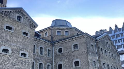 Photo from Pigeons Paradise