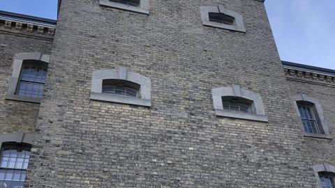 Pigeons Paradise - B9BBBFA6-87C0-44A1-81B5-73577A0B067B.jpeg