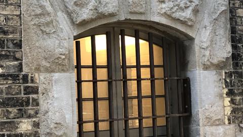 Photo from Pigeons Paradise