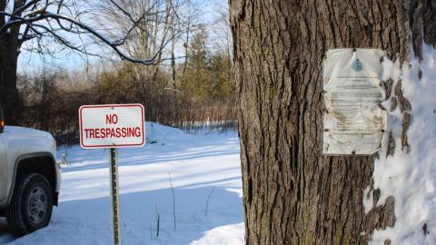 Photo from 4624 4th Concession Rd., Augusta - Jan 9 2021