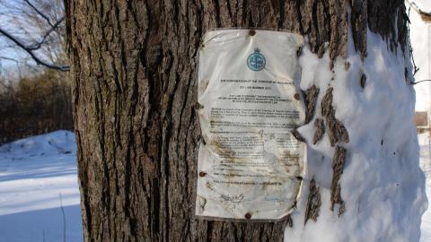 4624 4th Concession Rd., Augusta - Jan 9 2021 - IMG_0584.JPG