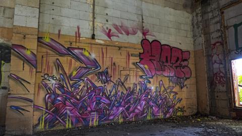 Holmes in HDR - IDK01.JPG