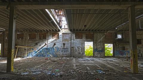 Holmes in HDR - Jungle01.JPG