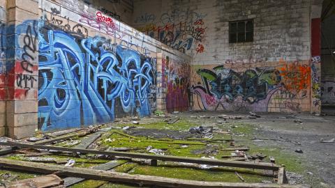 Holmes in HDR - Terrarium.jpg