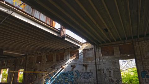 Holmes in HDR - BoltCaster.jpg