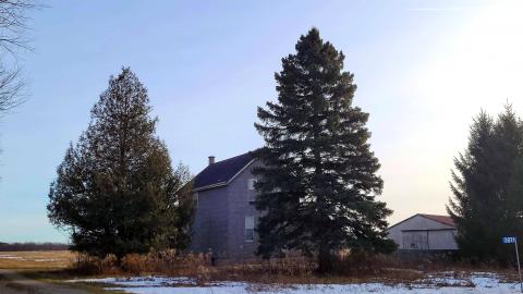 January 2021 - 20210113_191005.jpg