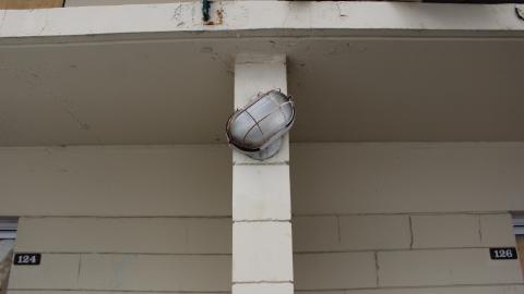 Got Pink? - IMG_5428.JPG