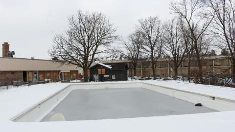 Got Pink? - IMG_5420.JPG